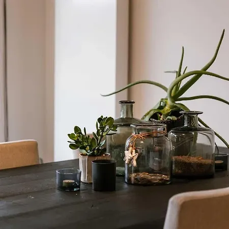 Casiola - Modern Close To The Knokke-Heist