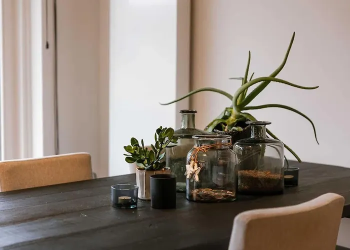 Casiola - Modern Close To The Knokke-Heist